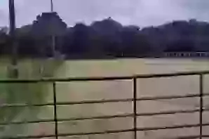 Equestrian